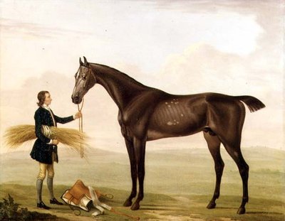 Un semental gris moteado sostenido por un mozo de William Shaw