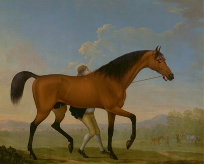 Blank, semental bayo del duque de Ancaster, caminando hacia una yegua. de William Shaw