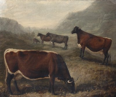  de William Shiels