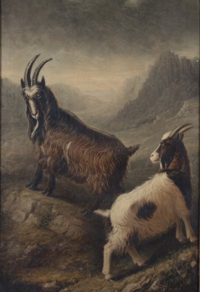  de William Shiels