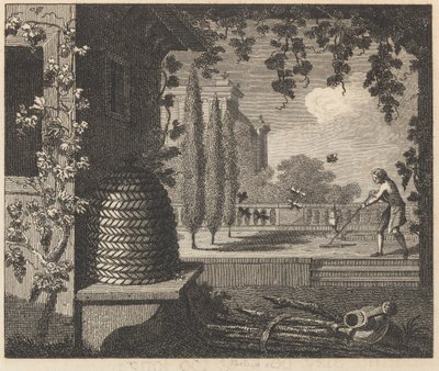 Las abejas degeneradas de William Skelton