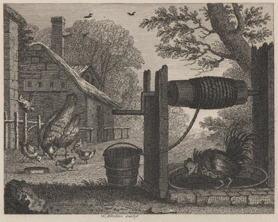 La gallina vieja y el gallo de William Skelton