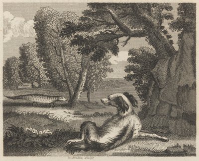 El Spaniel y el Camaleón de William Skelton