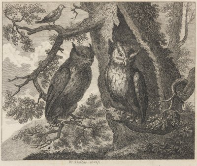 Los dos búhos y el gorrión de William Skelton