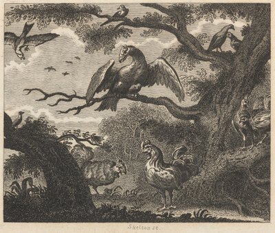 El buitre, el gorrión y otras aves de William Skelton