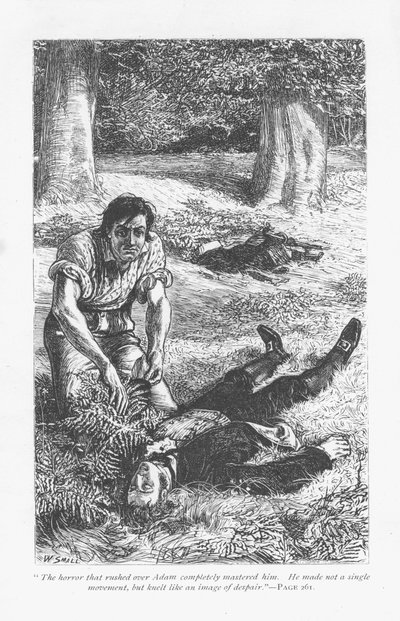 Adam Bede, habiendo vencido a Arthur Donnithorne en una pelea, se horroriza al ver a su rival inconsciente. Adam Bede por George Eliot, publicado por primera vez en 1859. Ilustración de William Small de William Small