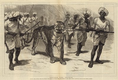 Ante el príncipe de William Small