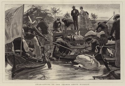 Caza de Cisnes en el Támesis sobre Windsor de William Small