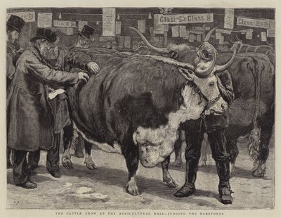 La feria de ganado en el Agricultural Hall, juzgando a los Herefords de William Small