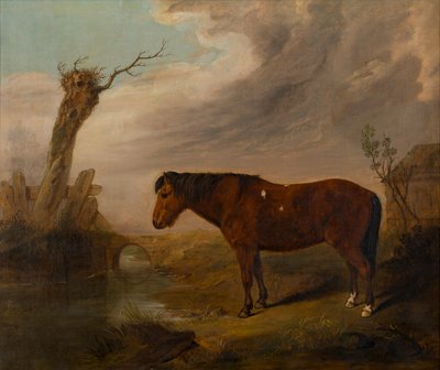 A Bay Pony by a River, c.1823 (óleo sobre lienzo) de William Smith
