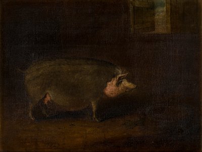 Un cerdo en una pocilga, c.1823 (óleo sobre lienzo) de William Smith
