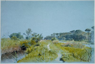 Castel Fusano - cerca de Roma de William Stanley Haseltine