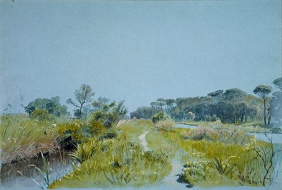 Castel Fusano cerca de Roma de William Stanley Haseltine