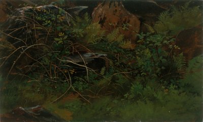 Estudio de la naturaleza de William Stanley Haseltine