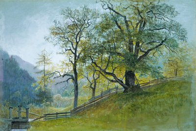 Vahrn en Tirol cerca de Brixen de William Stanley Haseltine