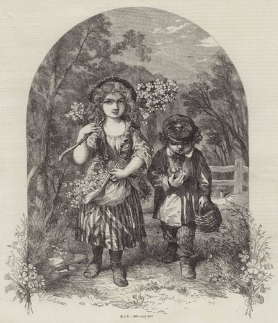 Mayo de William Stephen Coleman
