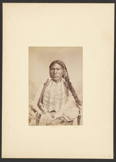 Valiente kiowa vestido de guerra [probablemente Koi-khan-hole]. de William Stinson Soule
