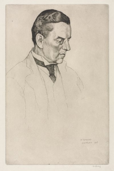 El Honorable Joseph Austen Chamberlain, 1903 de William Strang