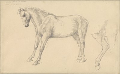 Estudios de un pony de William Strutt