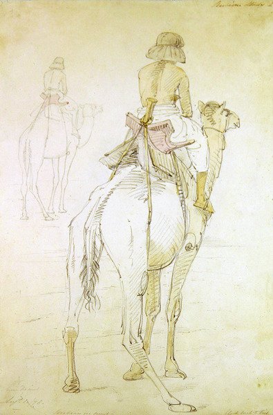 Estudio de un hombre en un camello de William Strutt