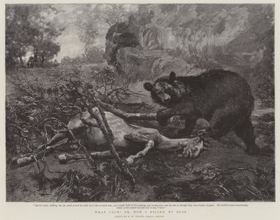 ¡Qué suerte! o, Cómo maté a mi oso de William Strutt