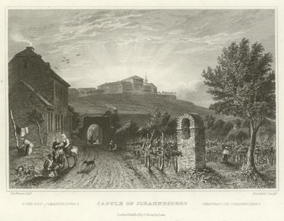 Castillo de Johannesberg de William Tombleson