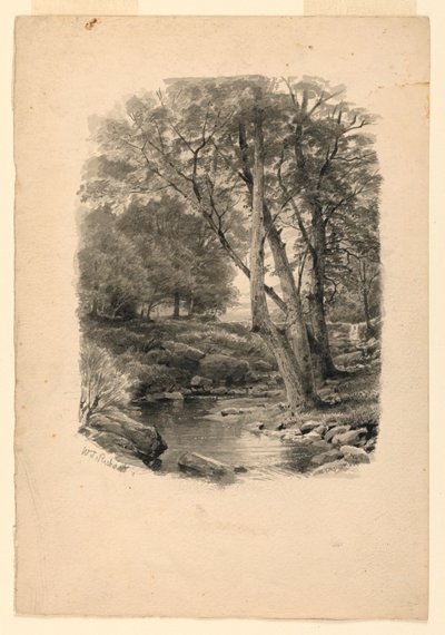 Dibujo, Piscina en el bosque, 1874 de William Trost Richards