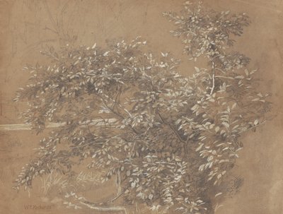 Follaje de William Trost Richards