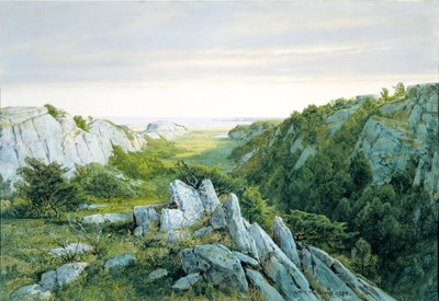 Del Paraíso al Purgatorio, Newport, 1878 de William Trost Richards