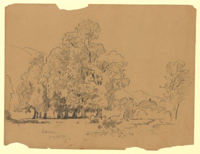 Paisaje, Interlaken, Suiza de William Trost Richards