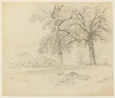 Paisaje, Lago Brienz, Interlaken, Suiza de William Trost Richards