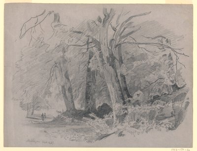 Paisaje, Meiringen, Suiza de William Trost Richards