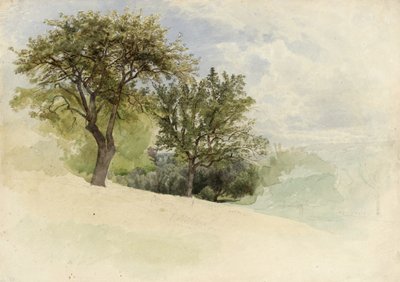 Paisaje con Árboles en una Ladera de William Trost Richards