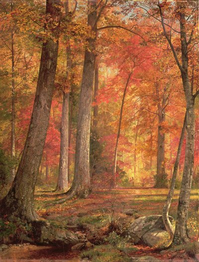 Camino en el bosque, 1865 de William Trost Richards
