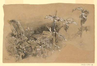 Estudio de follaje de William Trost Richards
