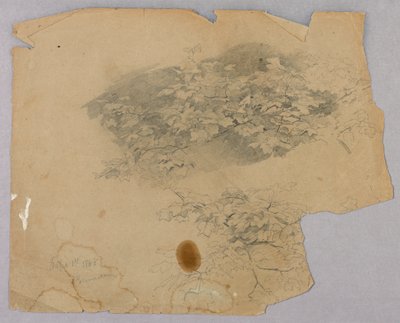 Estudio de follaje de William Trost Richards