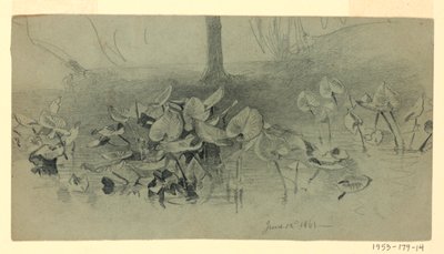 Estudio de follaje de William Trost Richards