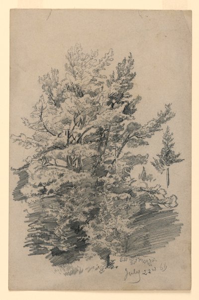 Estudio de follaje de William Trost Richards