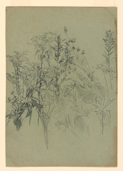 Estudio de follaje de William Trost Richards