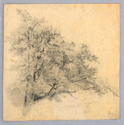 Estudio de follaje de William Trost Richards