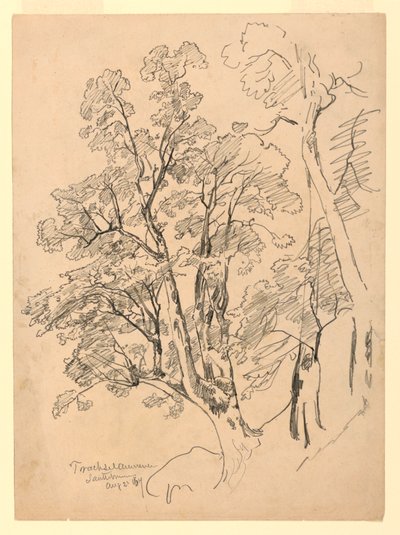 Estudio de follaje, Trachselwald, Berna, Suiza de William Trost Richards