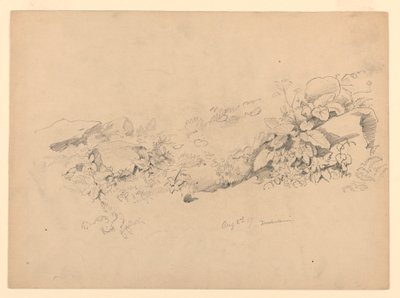 Estudio de follaje, Trachselwald, Berna, Suiza de William Trost Richards