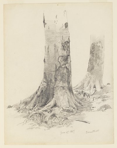 Troncos de Árboles, Darmstadt de William Trost Richards