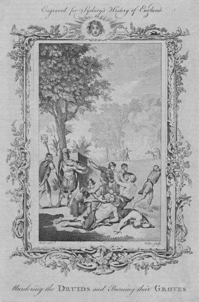 Asesinando a los druidas y quemando sus arboledas, 1773 de William Walker