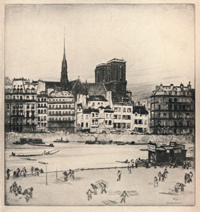 Notre-Dame, 1915 de William Walker