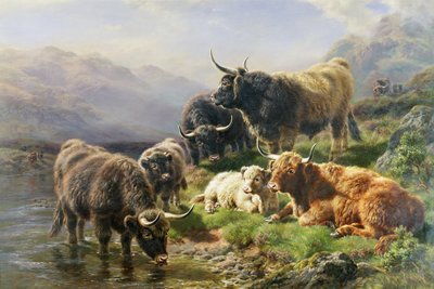 Ganado de las tierras altas de William Watson