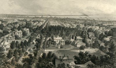 Ciudad de Buffalo de William Wellstood