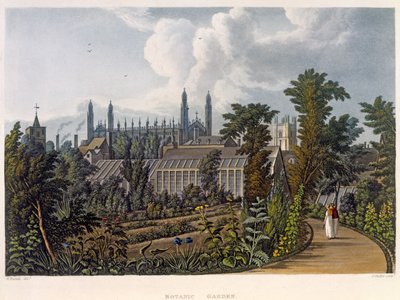 Los Jardines Botánicos, Cambridge, de 