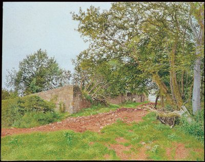 Caedenardd de William Wilkins