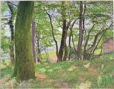 Tarde en Carmarthenshire de William Wilkins